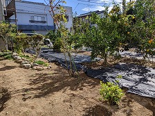 東京都世田谷区の二世帯住宅・新規外構工事施工前の現場写真・ビフォー画像3