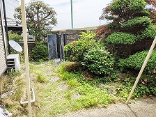 東京都世田谷区/アプローチのリフォーム前画像/植栽や雑草が生えている画像